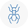 Ant Removals In Littleborough