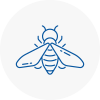 Bee Nest Removal Littleborough