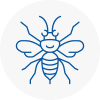 Littleborough Hornet Nest Removals