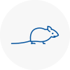 Mice Exterminators In Littleborough
