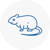 Rat Control Littleborough