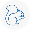 Littleborough Rodent Removals