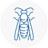 Littleborough Wasp Nest Removal
